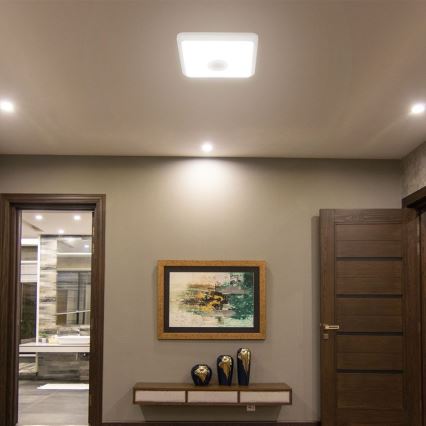 LED Laevalgusti koos anduriga SAMSUNG CHIP LED/12W/230V 3000/4000/6000K valge