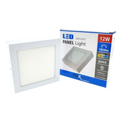 LED-laevalgusti LED/12W/230V 6500K