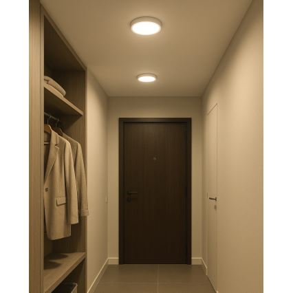 LED Laevalgusti LED/18W/230V 4200K d. 21 cm valge