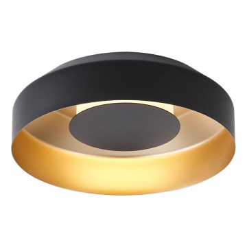 LED Laevalgusti LED/20W/230V 3000K must