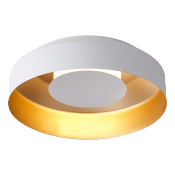 LED Laevalgusti LED/20W/230V 3000K valge