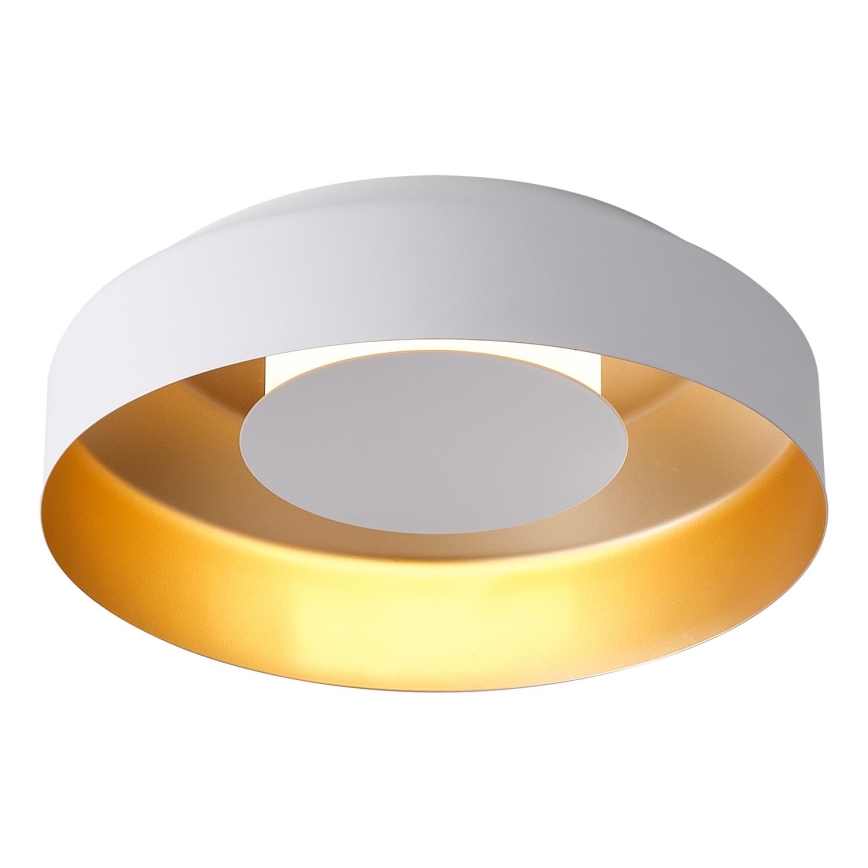 LED Laevalgusti LED/20W/230V 3000K valge