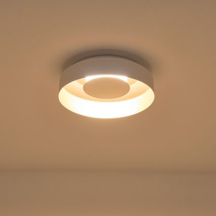 LED Laevalgusti LED/20W/230V 3000K valge