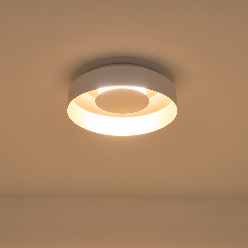 LED Laevalgusti LED/20W/230V 3000K valge