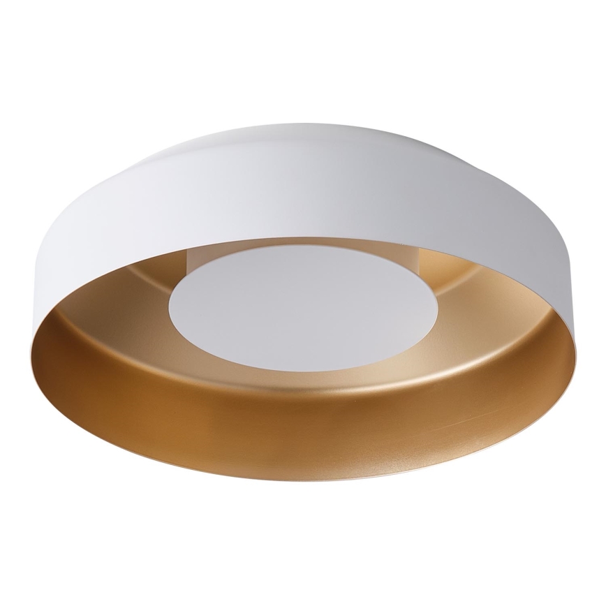 LED Laevalgusti LED/20W/230V 3000K valge