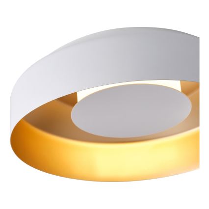 LED Laevalgusti LED/20W/230V 3000K valge