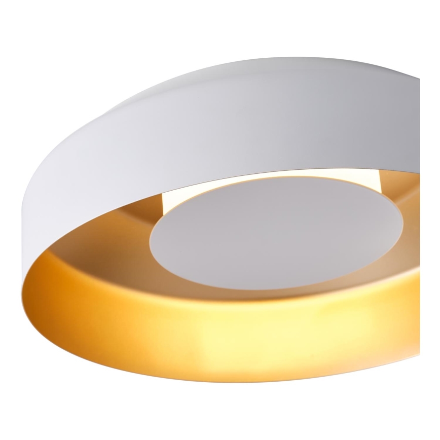 LED Laevalgusti LED/20W/230V 3000K valge