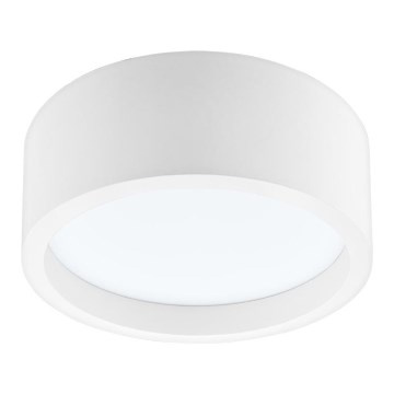 LED Laevalgusti LED/21W/230V mänd