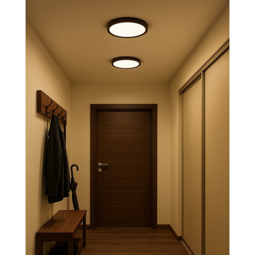 LED laevalgusti LED/24W/230V 3000/4000/6500K läbimõõt 30 cm pruun