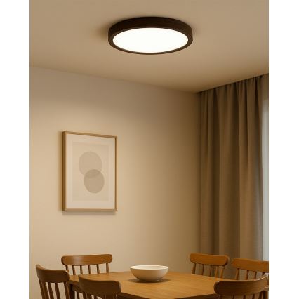 LED laevalgusti LED/24W/230V 3000/4000/6500K läbimõõt 30 cm pruun