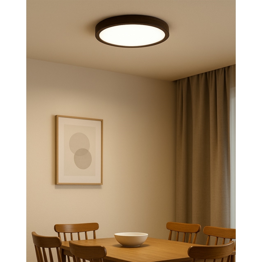 LED laevalgusti LED/24W/230V 3000/4000/6500K läbimõõt 30 cm pruun