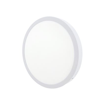 LED Laevalgusti LED/24W/230V 4200K d. 28,5 cm valge