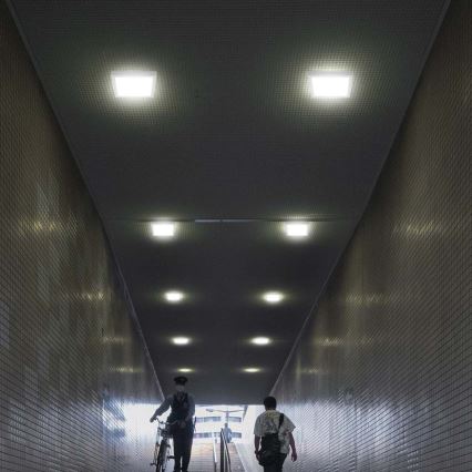 LED Laevalgusti LED/24W/230V 6500K 28,7x28,7 cm valge