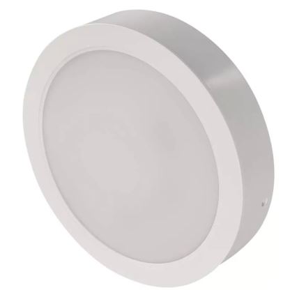 LED Laevalgusti LED/24W/230V d. 22 cm valge