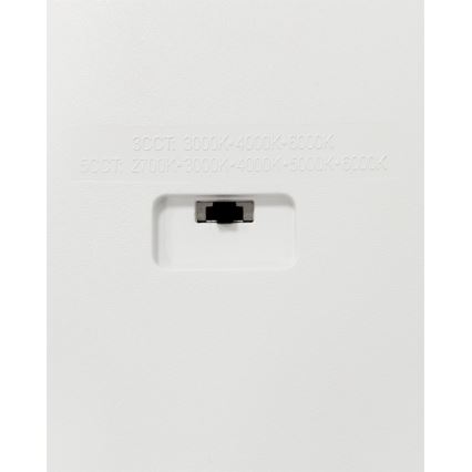 LED laevalgusti LED/40W/230V 3000/4000/6500K 50x50 cm valge