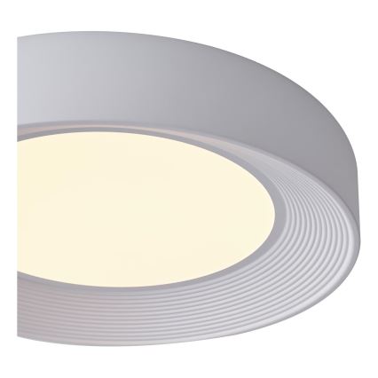 LED Laevalgusti LED/40W/230V 3000K valge d. 50 cm