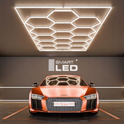 LED laevalgusti HEXAGON LED/696W/85-265V 4000K 484x243 cm CRI 90 IP44 valge