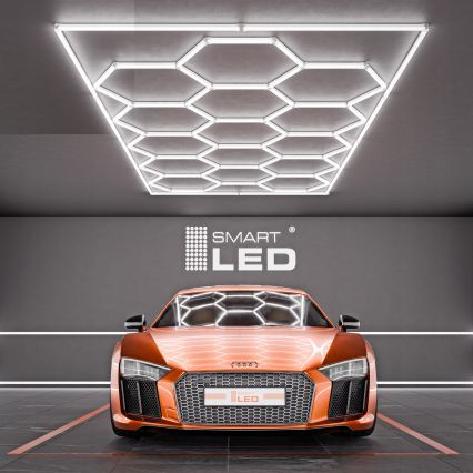 LED laelamp HEXAGON LED/696W/85-265V 6500K 484x243 cm CRI 90 IP44 valge