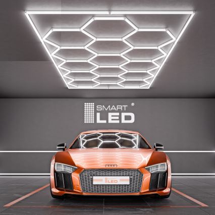 LED laelamp HEXAGON LED/696W/85-265V 6500K 484x243 cm CRI 90 IP54 valge