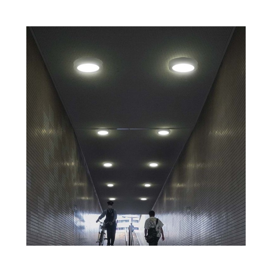 LED Laevalgusti LED/6W/230V 6500K valge