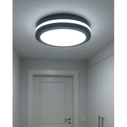 LED laevalgusti liikumisanduriga LED/20W/230V 3000/4000/6500K läbimõõt 230 cm IP54 antratsiit