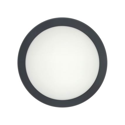 LED laevalgusti liikumisanduriga LED/20W/230V 3000/4000/6500K läbimõõt 230 cm IP54 antratsiit