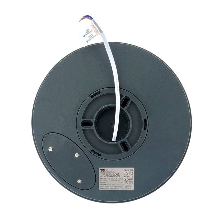 LED laevalgusti liikumisanduriga LED/20W/230V 3000/4000/6500K läbimõõt 230 cm IP54 antratsiit