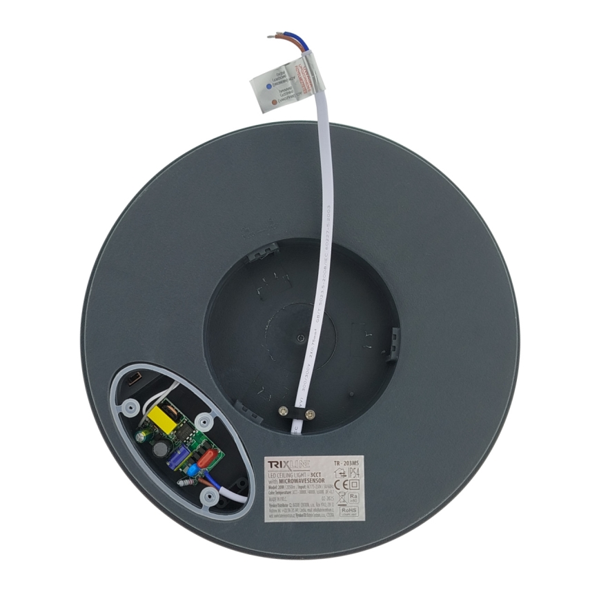 LED laevalgusti liikumisanduriga LED/20W/230V 3000/4000/6500K läbimõõt 230 cm IP54 antratsiit
