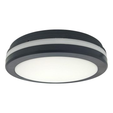 LED laevalgusti liikumisanduriga LED/20W/230V 3000/4000/6500K läbimõõt 230 cm IP54 antratsiit