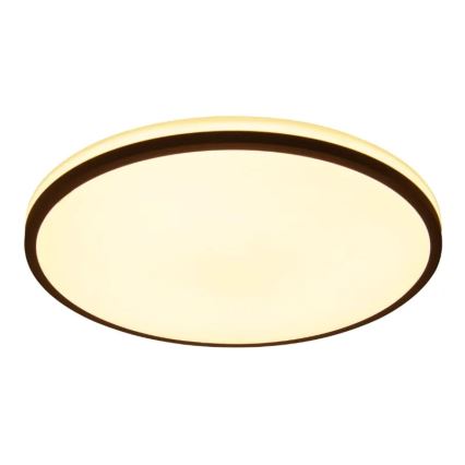 LED Hämardatav laevalgusti OPAL LED/48W/230V 3000-6500K + kaugjuhtimispult