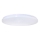 LED Laevalgusti OPAL LED/48W/230V 4000K