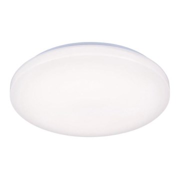 LED Laevalgusti OPAL LED/50W/176-264V