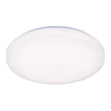 LED Laevalgusti OPAL LED/50W/176-264V