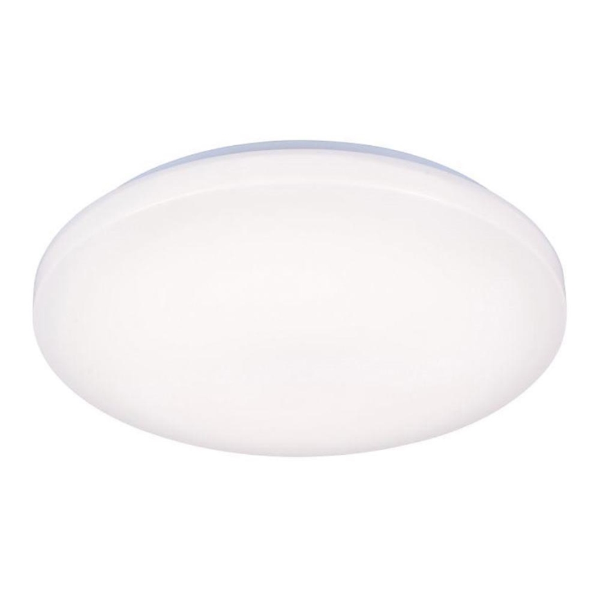 LED Laevalgusti OPAL LED/50W/176-264V