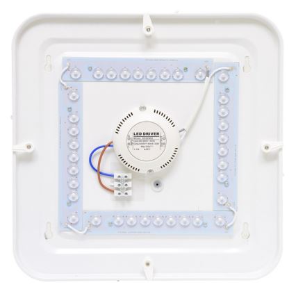 LED Laevalgusti õue LUKA LED/42W/230V IP44