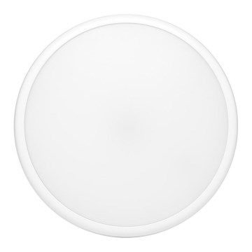 LED Laevalgusti õue MOVA LED/16W/230V IP65