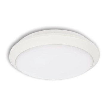 LED Laevalgusti õue TIPO LED/18W/230V IP66