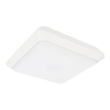 LED Laevalgusti õue TIPO LED/24W/230V IP66