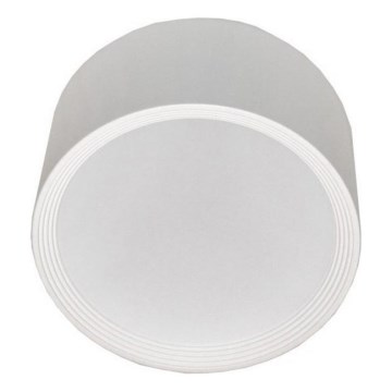 LED Laevalgusti PERCI LED/20W/230V IP40 4000K valge
