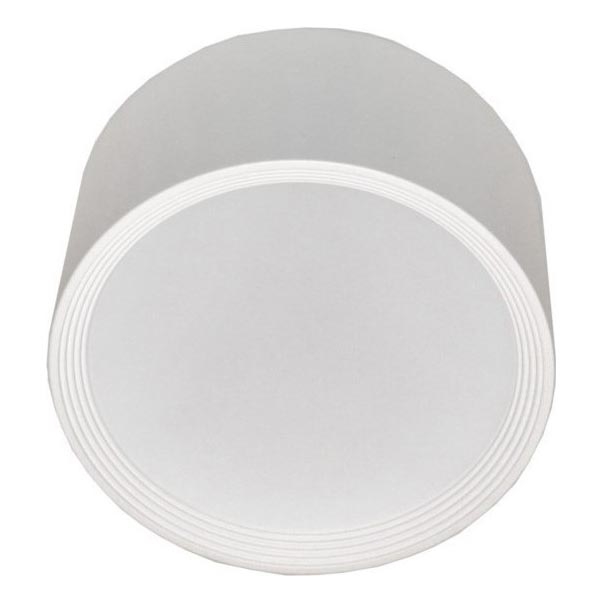 LED Laevalgusti PERCI LED/30W/230V IP40 4000K valge