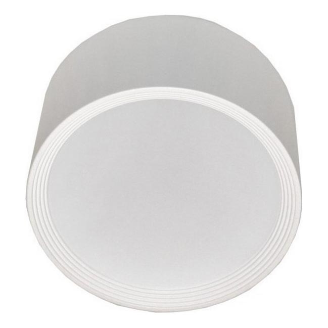 LED Laevalgusti PERCI LED/30W/230V IP40 4000K valge
