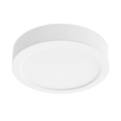 LED Laevalgusti raam ATUEL d. 14.5 cm