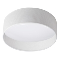 LED Laevalgusti RIFA LED/17,5W/230V 3000K valge