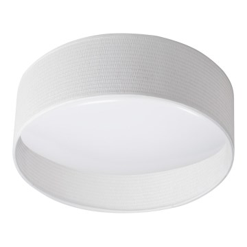 LED Laevalgusti RIFA LED/17,5W/230V 4000K valge