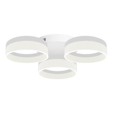 LED-laevalgusti RING 3xLED/12W/230V valge