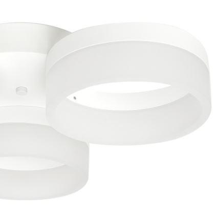 LED-laevalgusti RING 3xLED/12W/230V valge