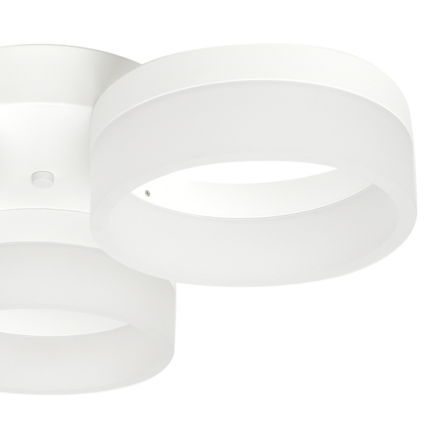 LED-laevalgusti RING 3xLED/12W/230V valge