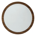 LED Laevalgusti RING LED/18W/230V 4200K d. 21 cm pruun