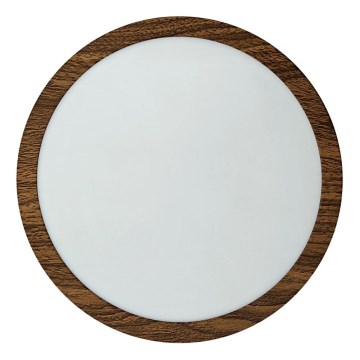 LED Laevalgusti RING LED/18W/230V 4200K d. 21 cm pruun