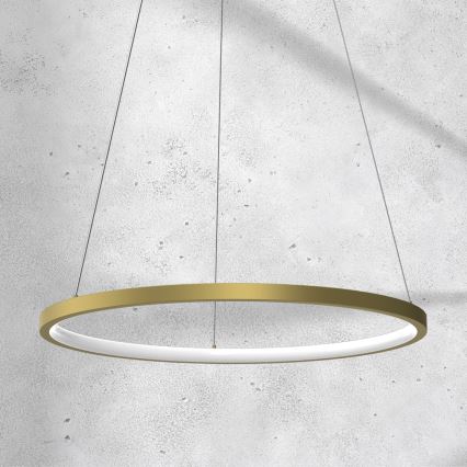 LED Laevalgusti ROTONDA LED/27W/230V kuldne